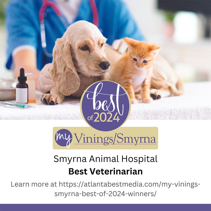 Best of 2024 My Vinings Smyrna - Smyrna Animal Hospital - Best Veterinarian